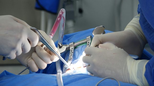 Chirurgie orthopédique en provence : pour un avenir sans douleur